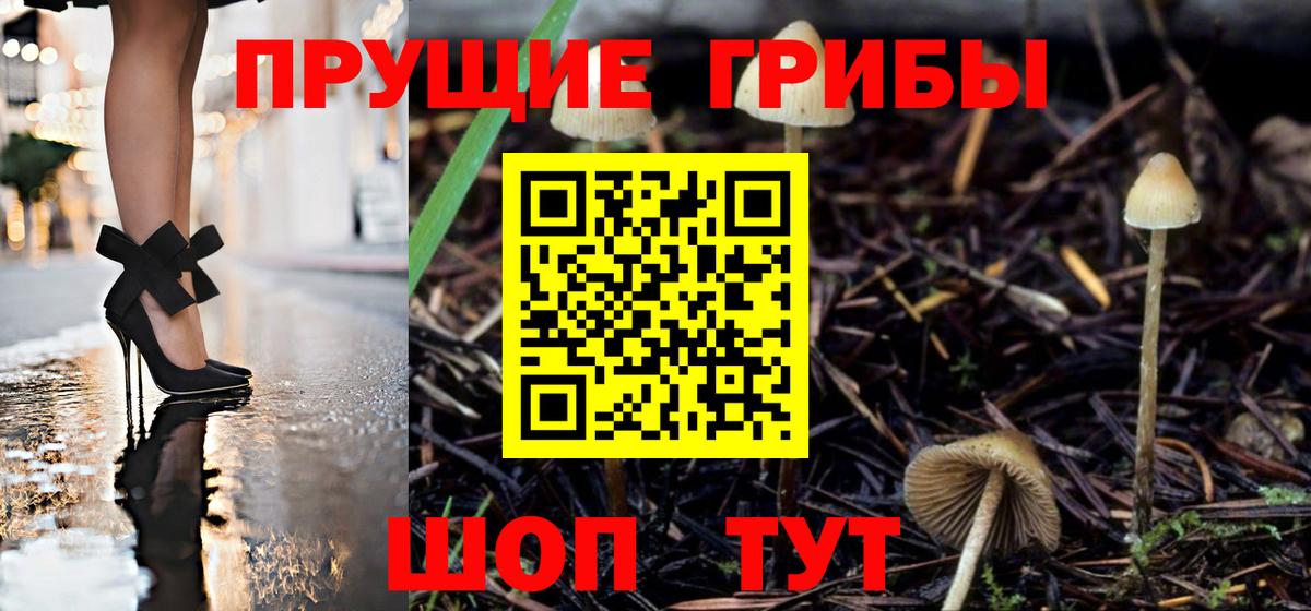 Черняховск  Псилоцибиновые грибы Cubensis  Вход с VPN  Галлюциногенные грибы Magic Shrooms 